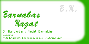 barnabas magat business card